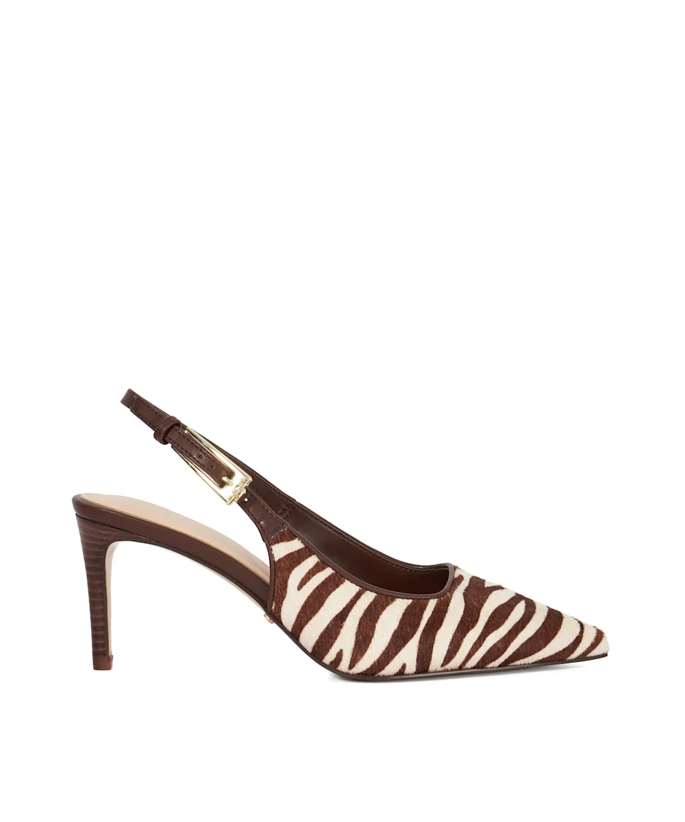 Closed - Zebra