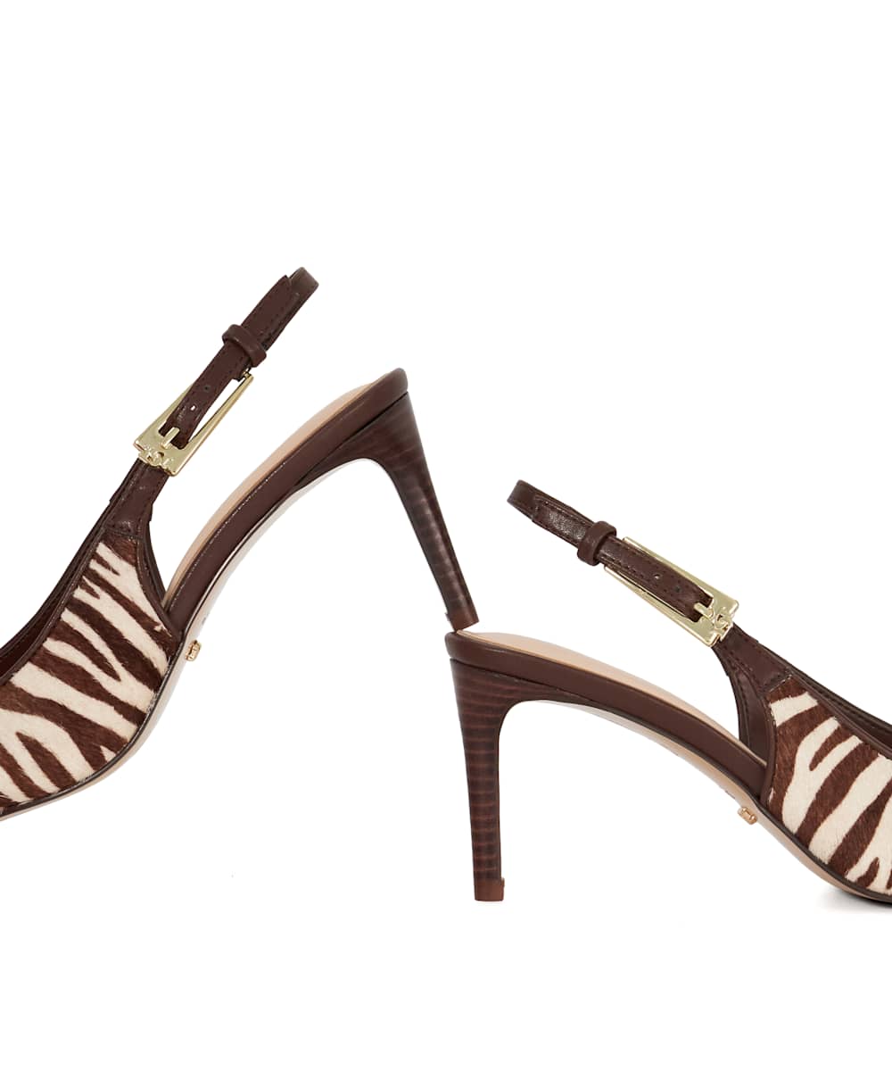 Closed - Zebra - Image 6