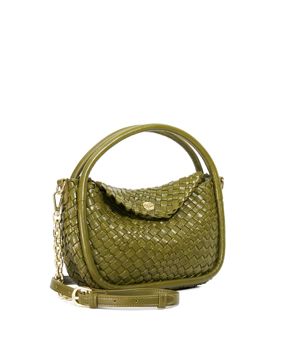 Dinideliberate - Green - Image 3