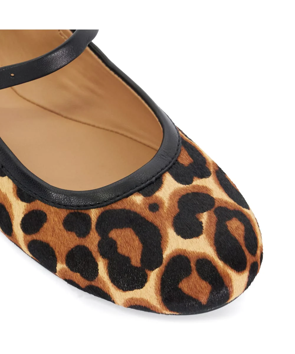 Heida - Leopard - Image 6