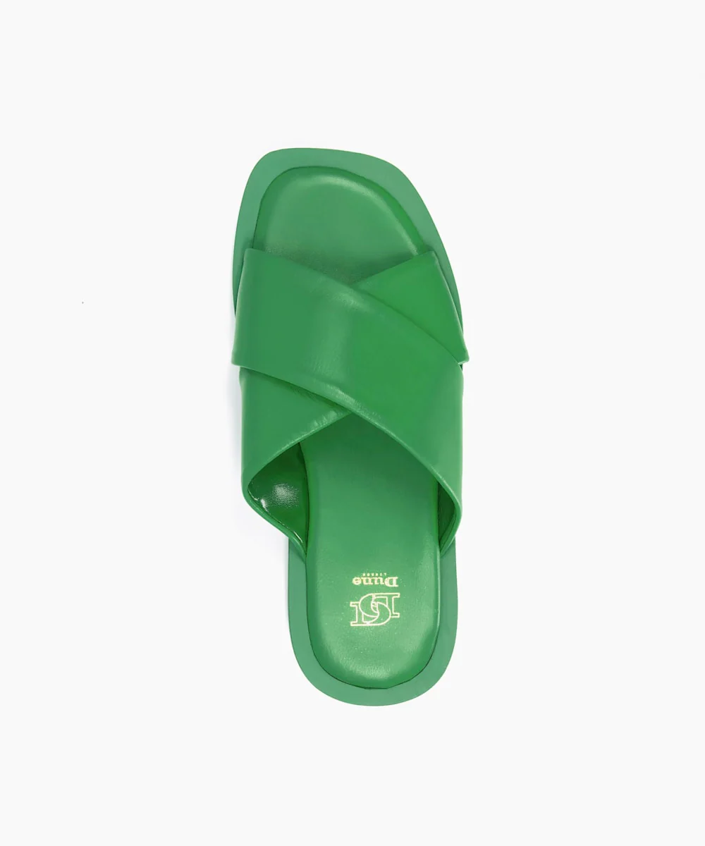 Licorice - Green - Image 4