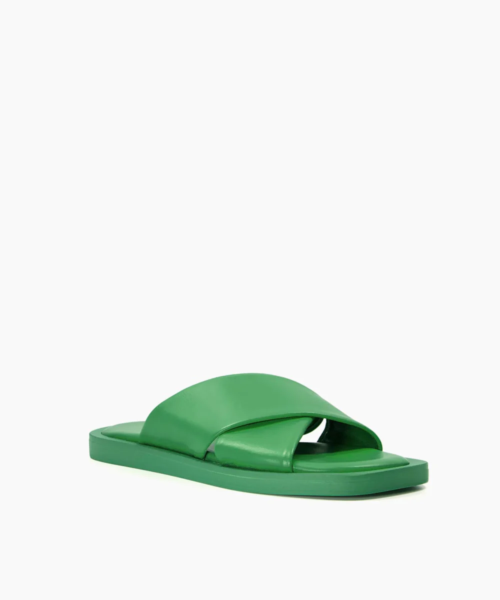 Licorice - Green - Image 5