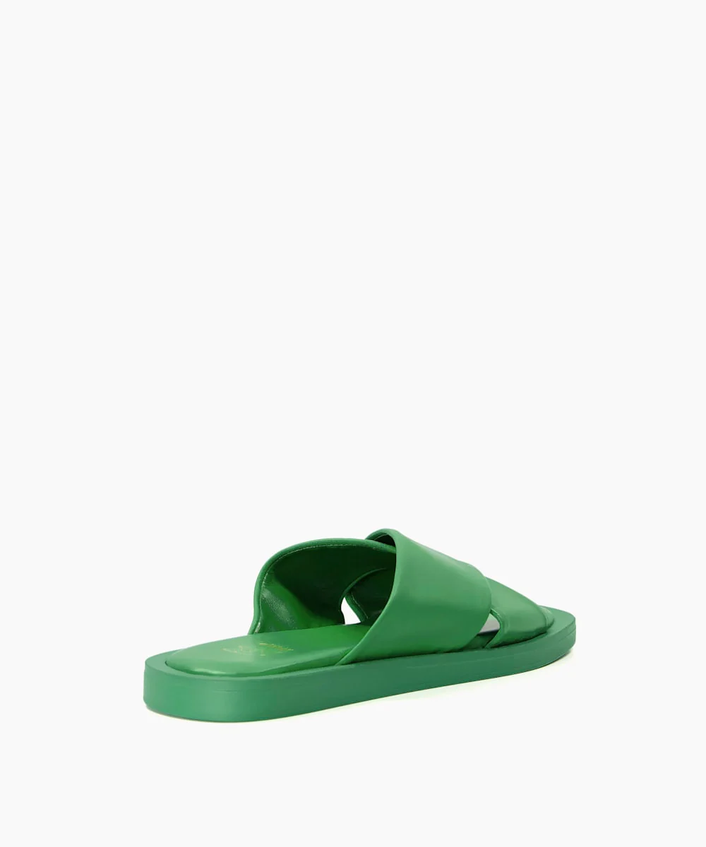 Licorice - Green - Image 6