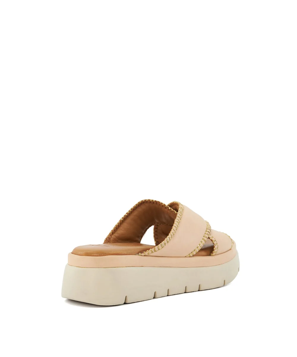 Litch - Blush - Image 5