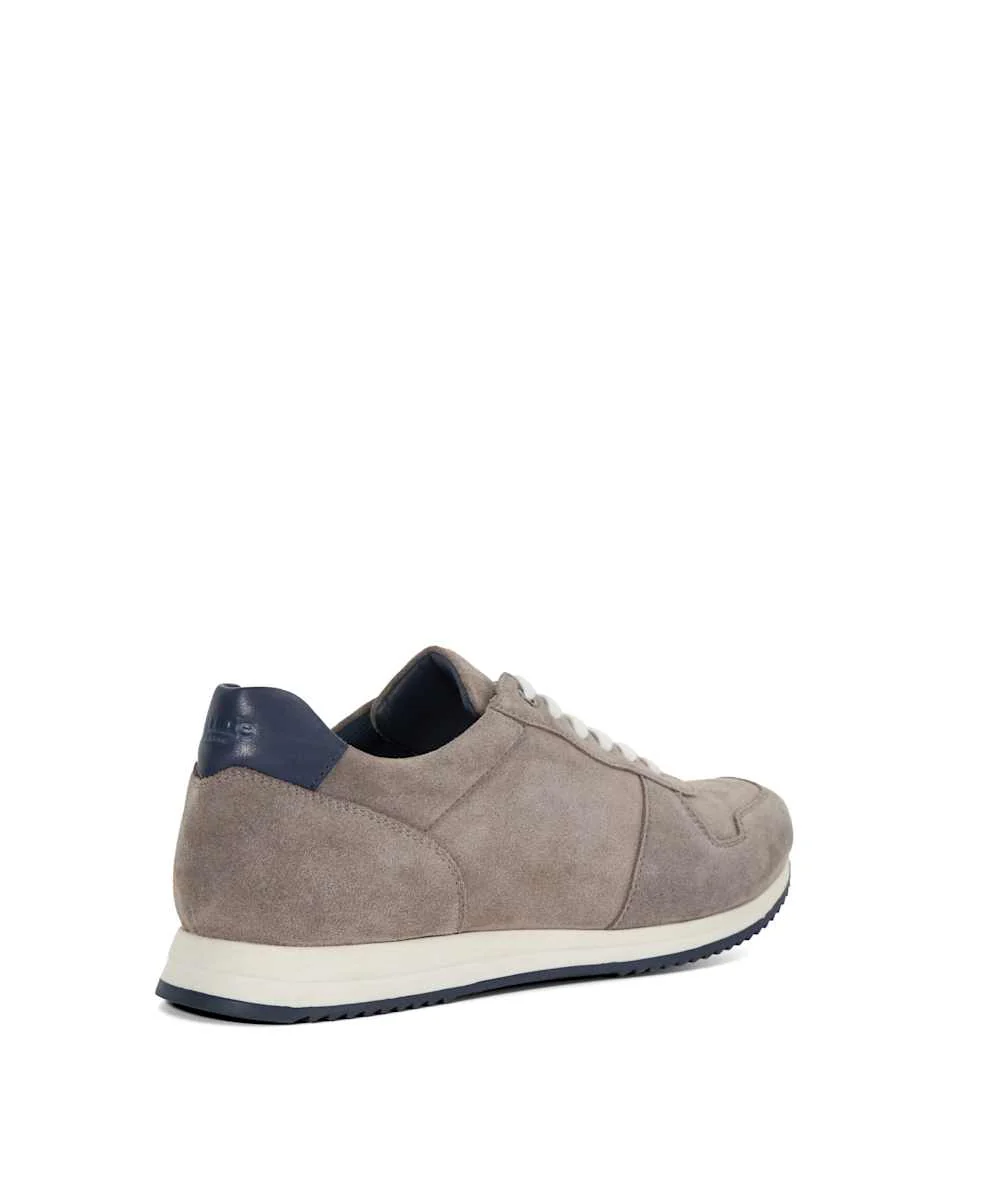 Toulous - Grey - Image 4
