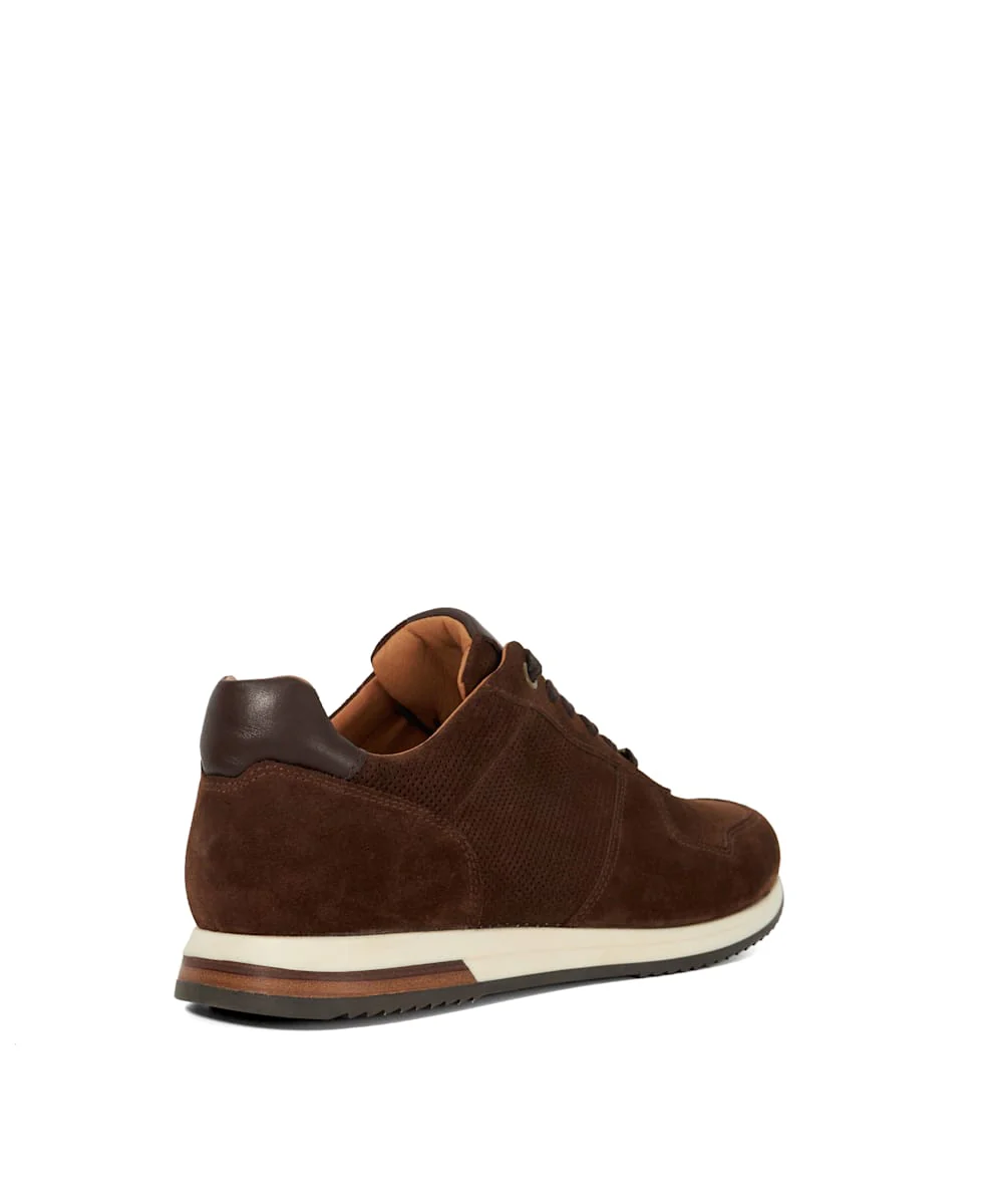 Trilogy - Brown - Image 5